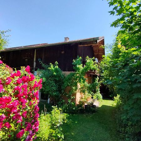 Gemuetliche Ferienwohnung Mit Kamin Und Garten Garmisch-Partenkirchen Exterior photo